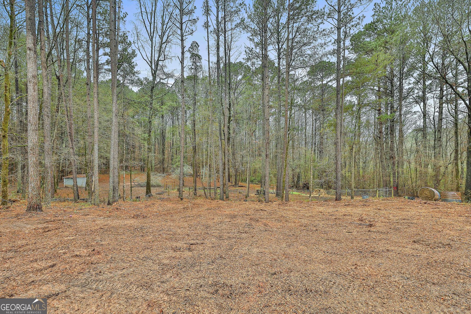 250 Mobley Bridge Road Lagrange - Photo 41