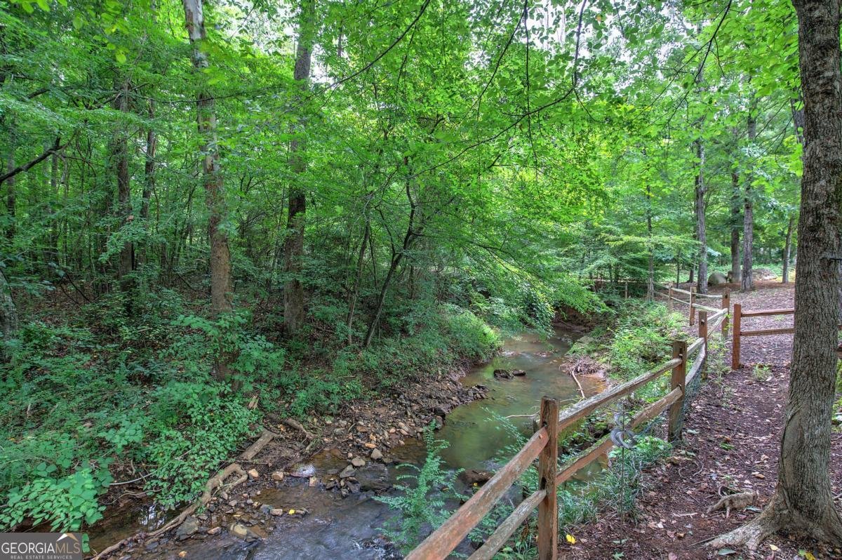 346 Thorn Creek Way Dallas - 49