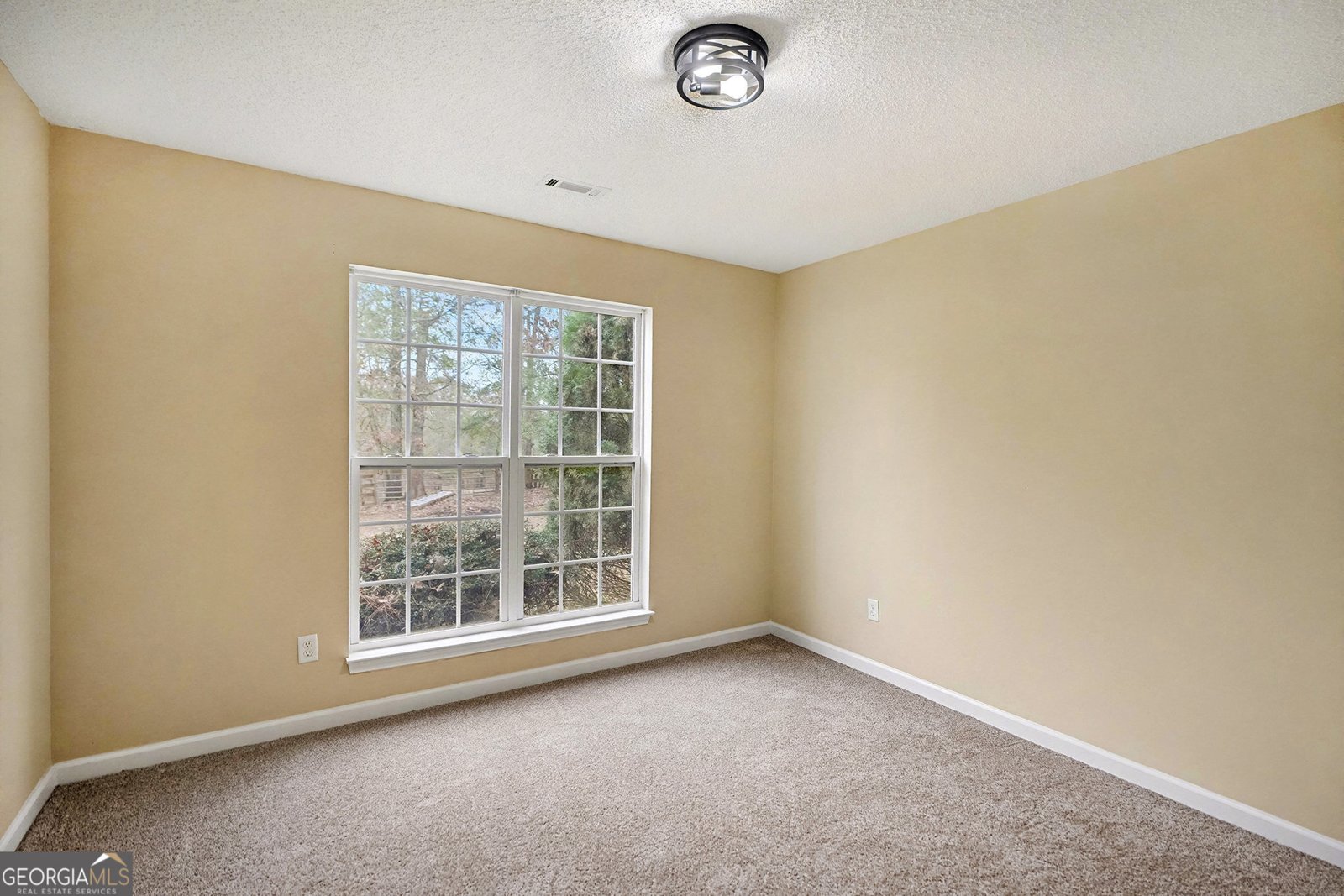 235 Cecil Jackson Road Griffin - 17