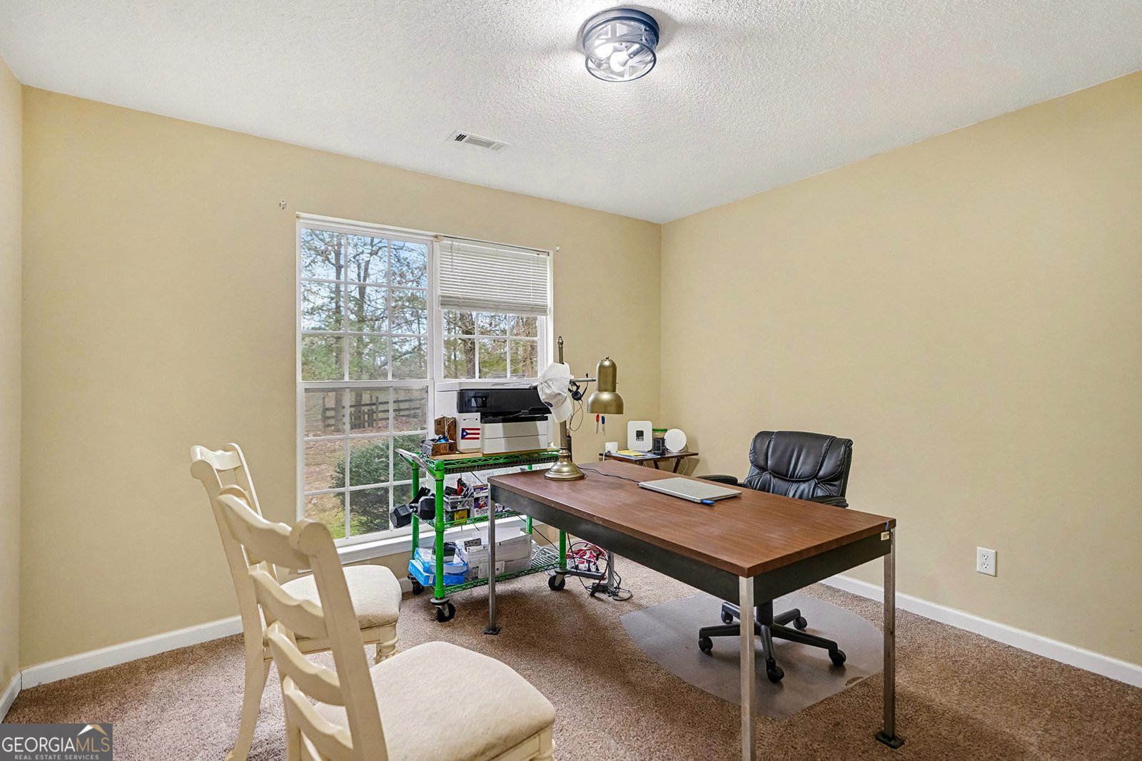 235 Cecil Jackson Road Griffin - 19