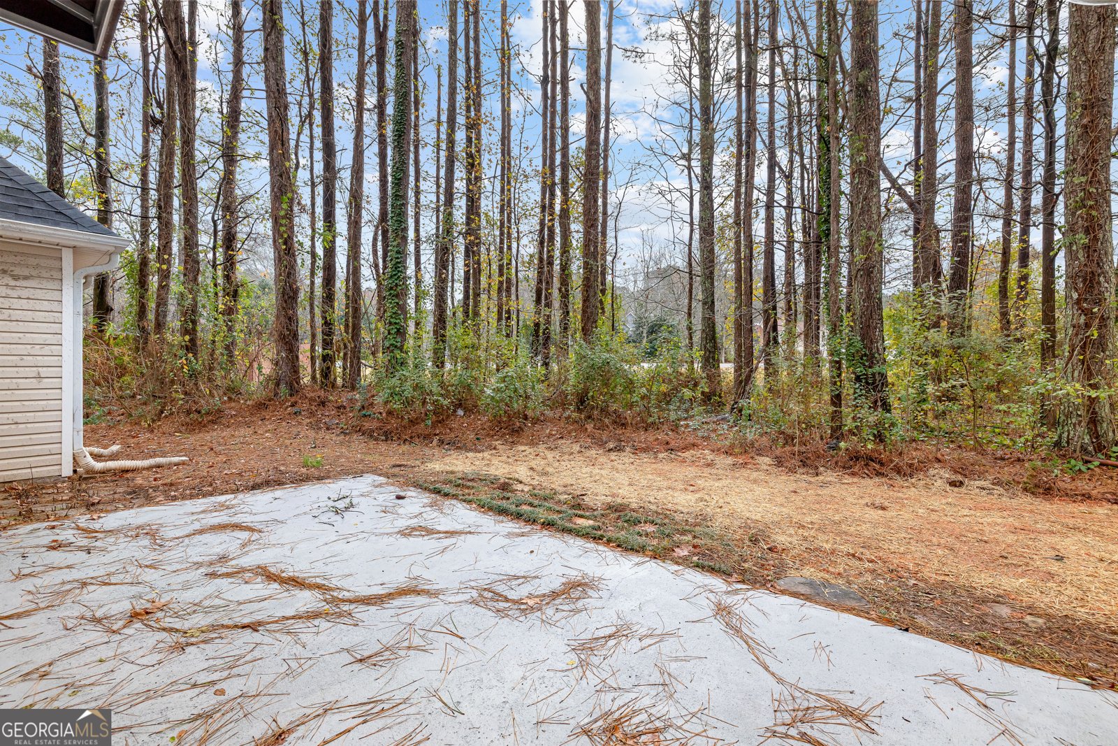 193 Kingsbrook Circle Newnan - 45