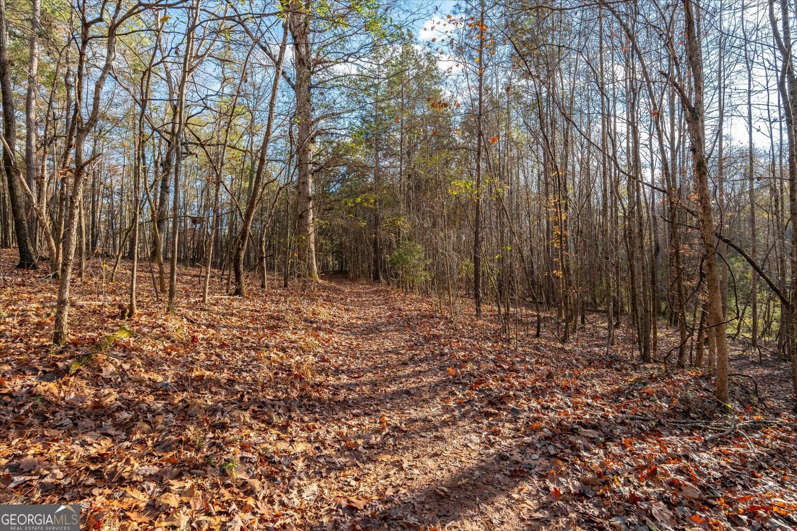 205 Hidden Brook Trail Newnan - 33