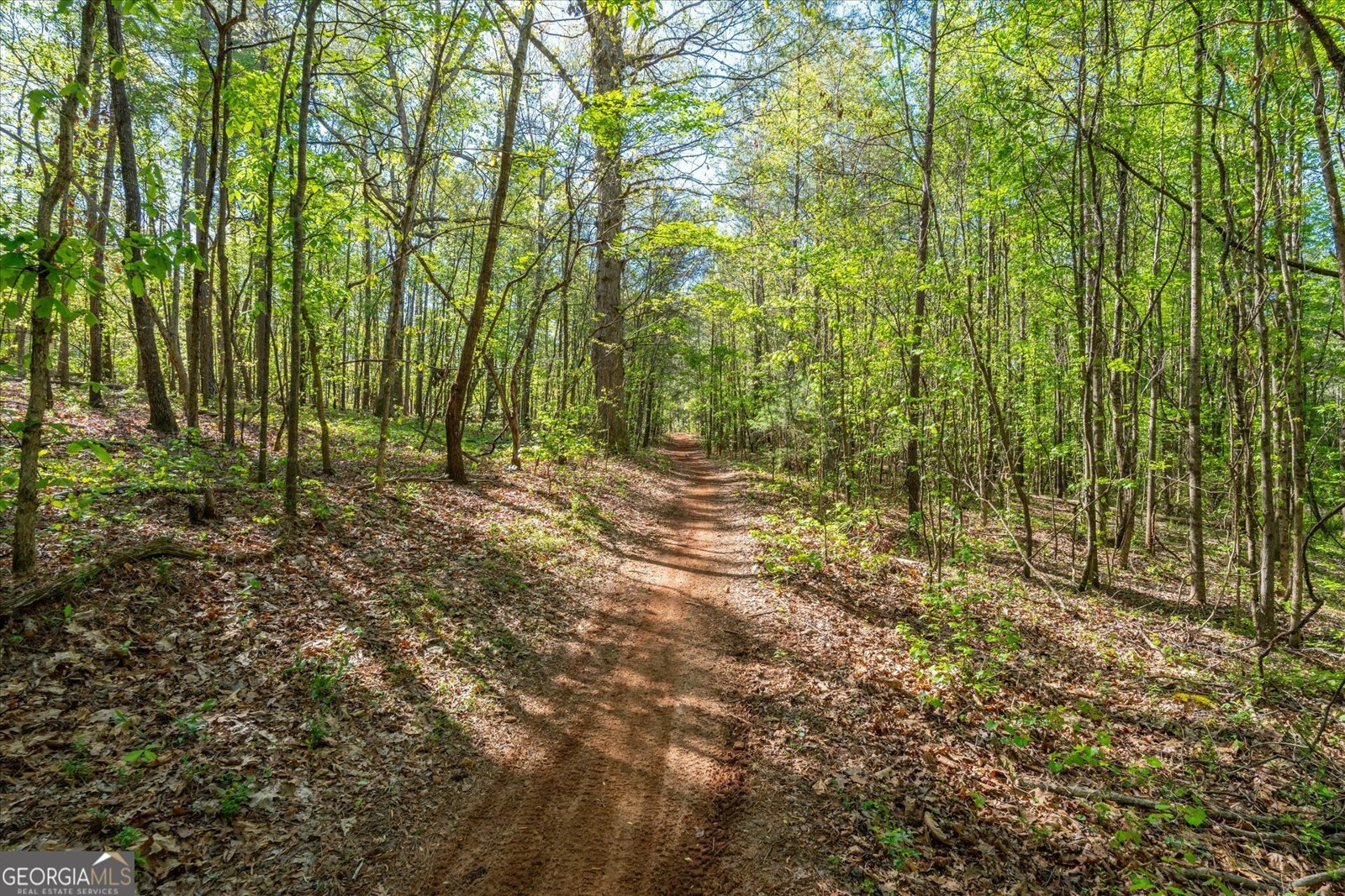 205 Hidden Brook Trail Newnan - Photo 36