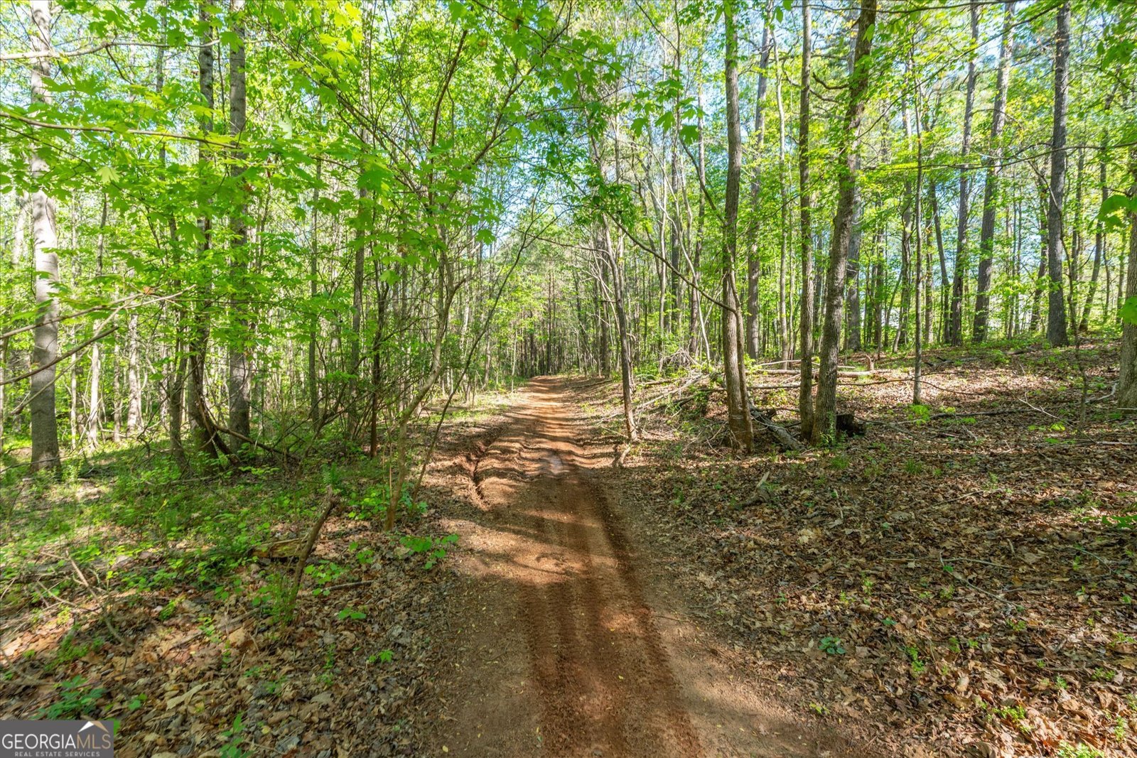 205 Hidden Brook Trail Newnan - Photo 37