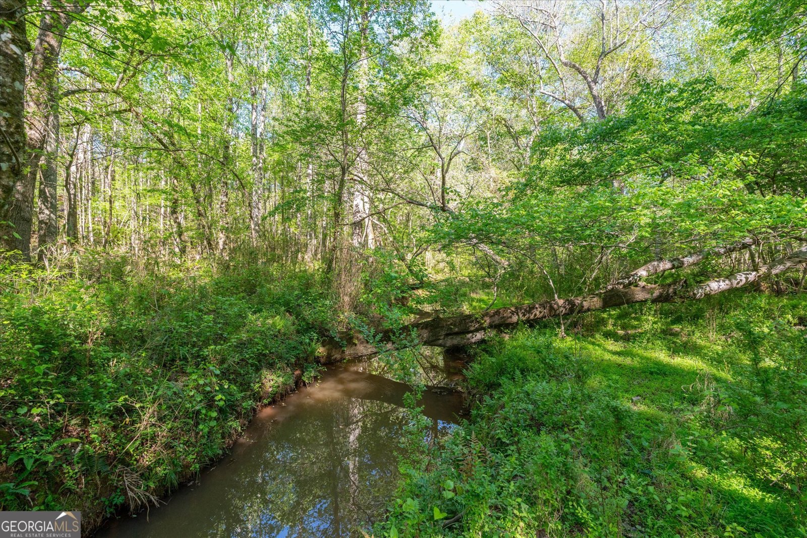 205 Hidden Brook Trail Newnan - Photo 38