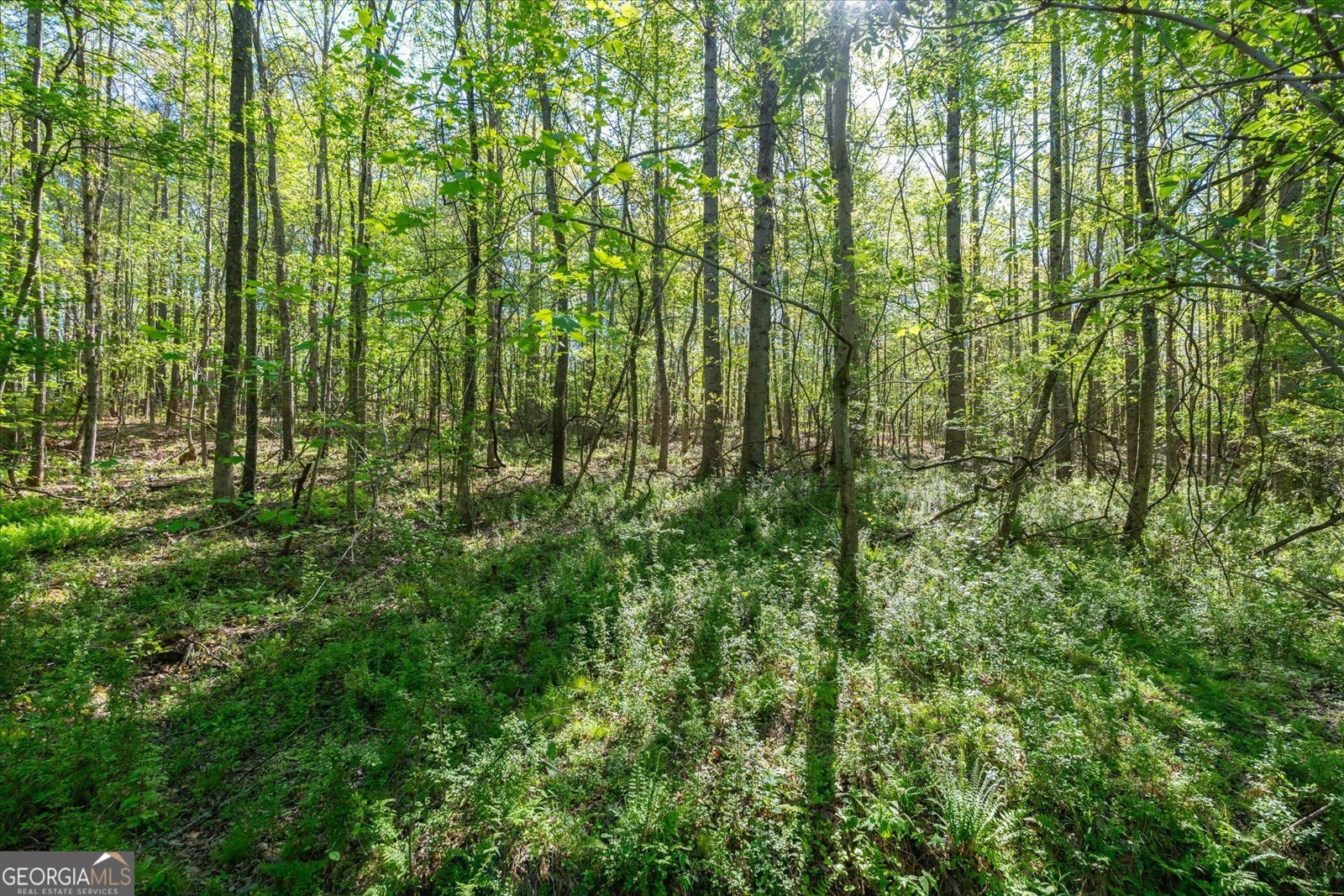 205 Hidden Brook Trail Newnan - Photo 39