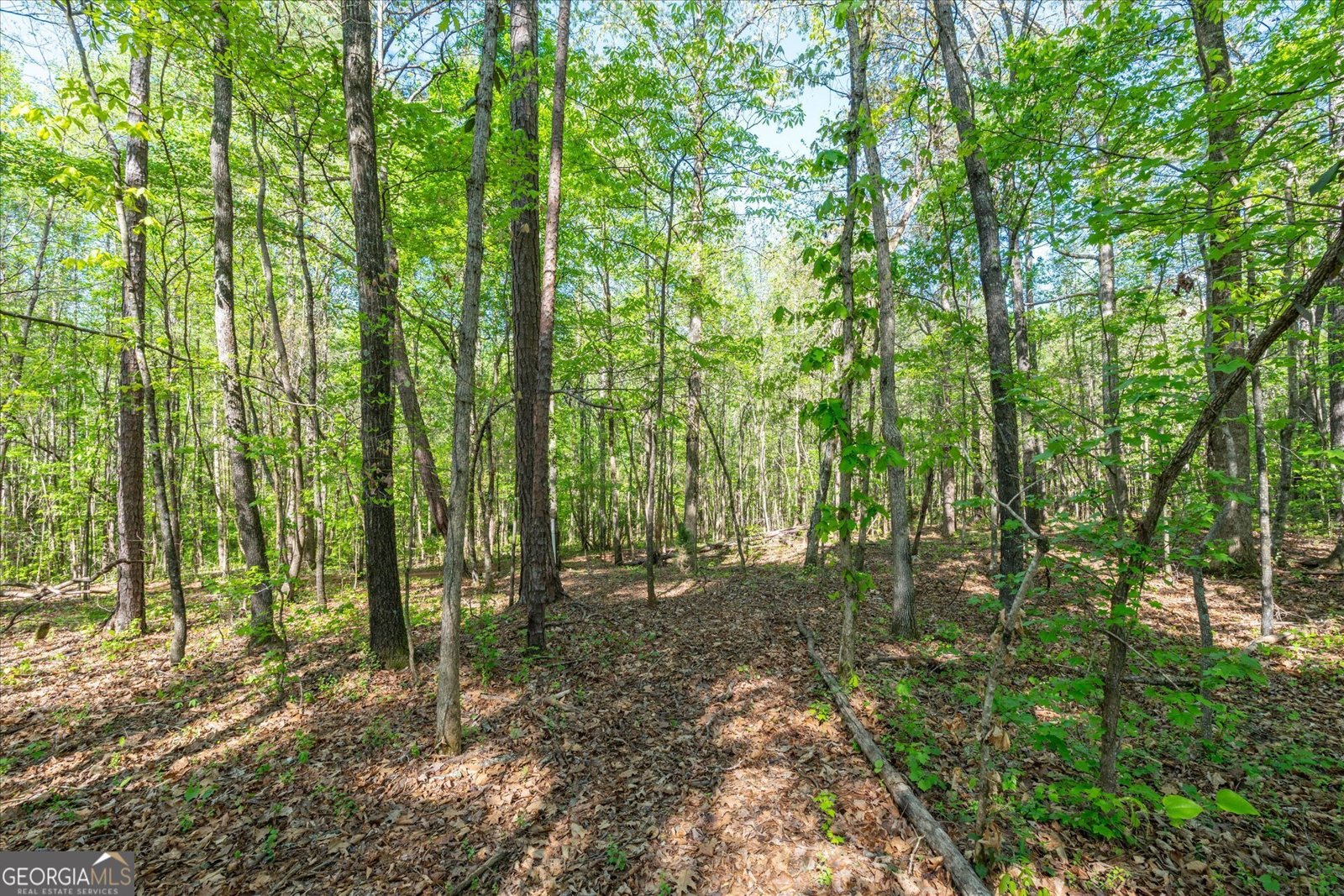 205 Hidden Brook Trail Newnan - Photo 40