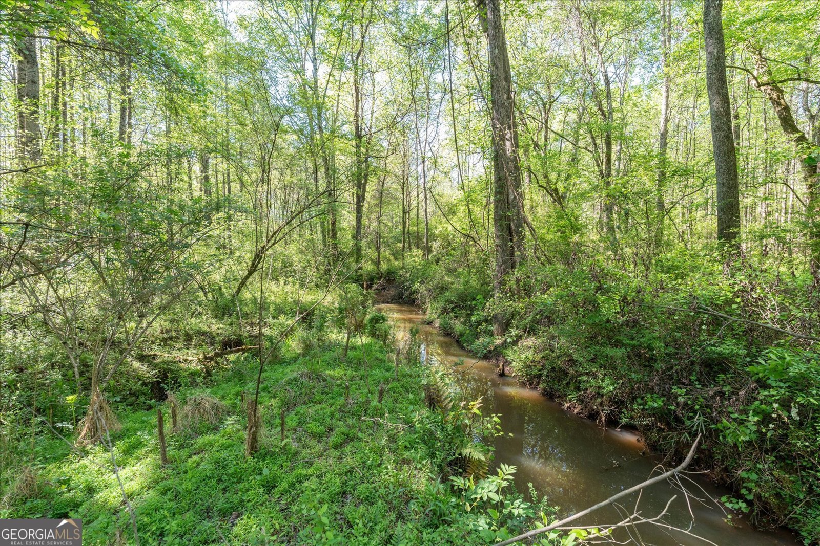 205 Hidden Brook Trail Newnan - Photo 41