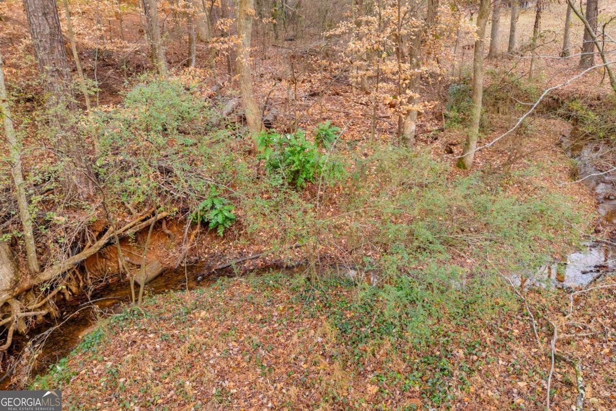 6302 Valley Stream Drive Cumming - 46