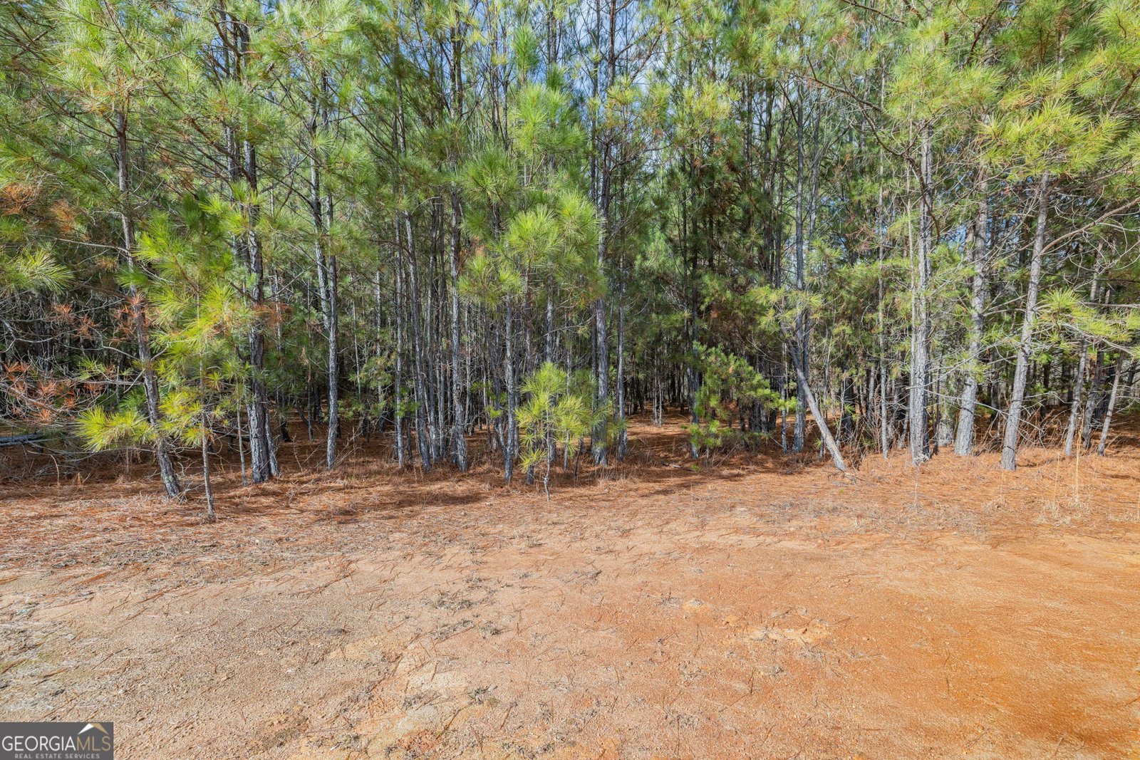 111 Leland Hills Drive Clarkesville - 28