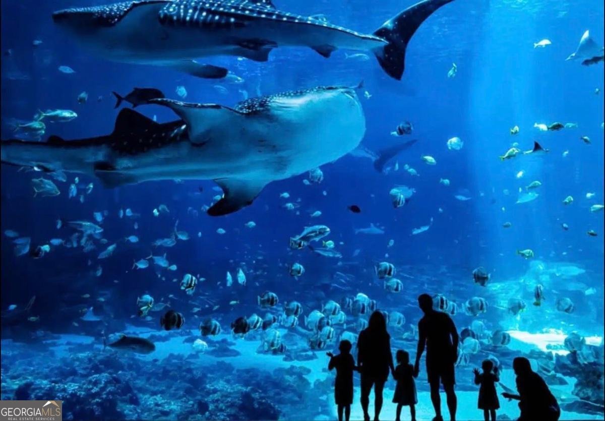 251 Aurora Avenue Atlanta - 28