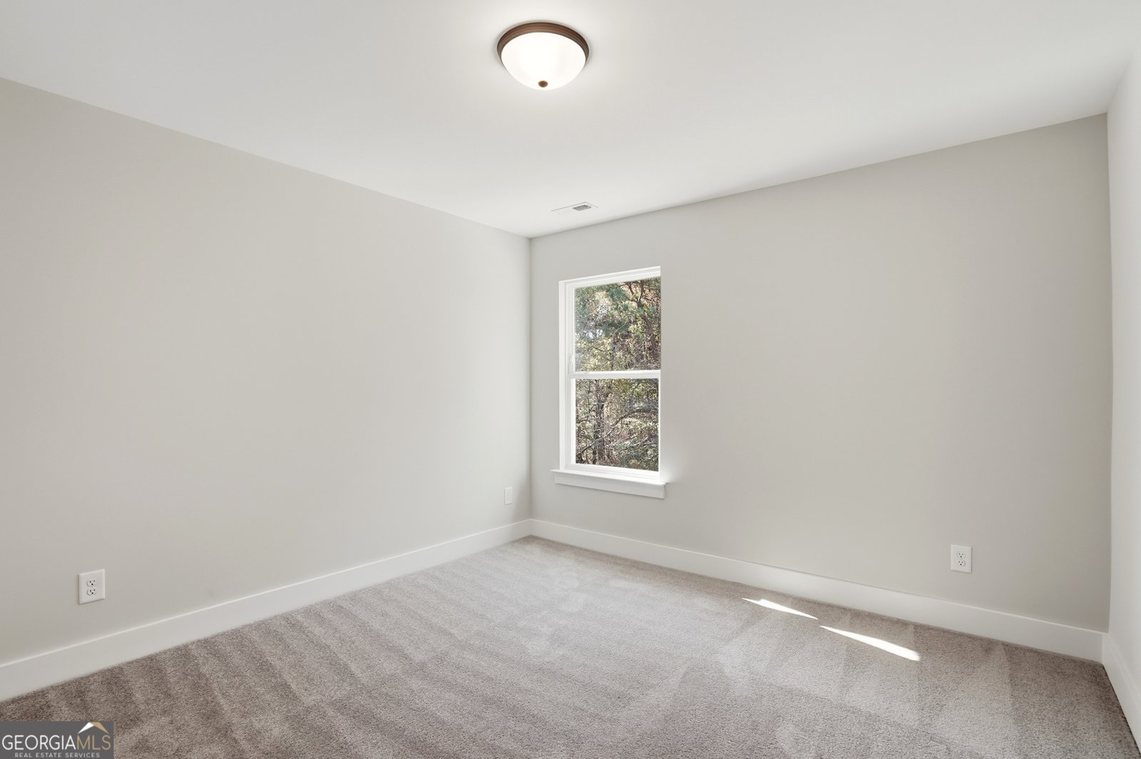 121 Trace Bluff Dawsonville - 30