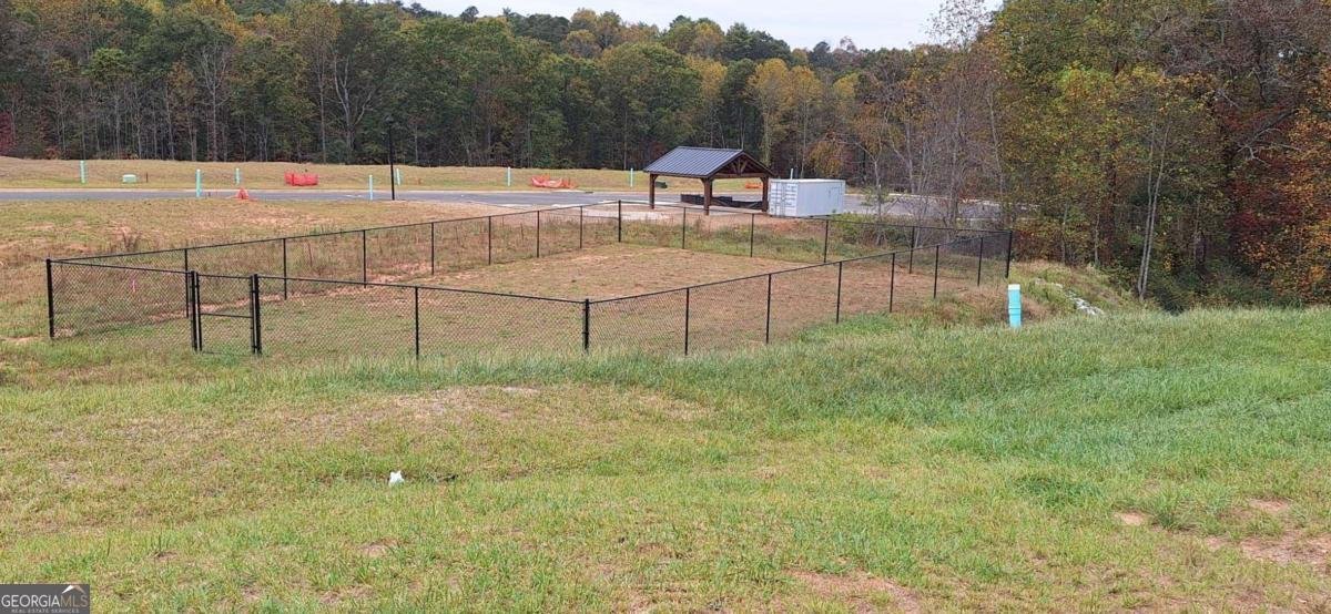 121 Trace Bluff Dawsonville - 5