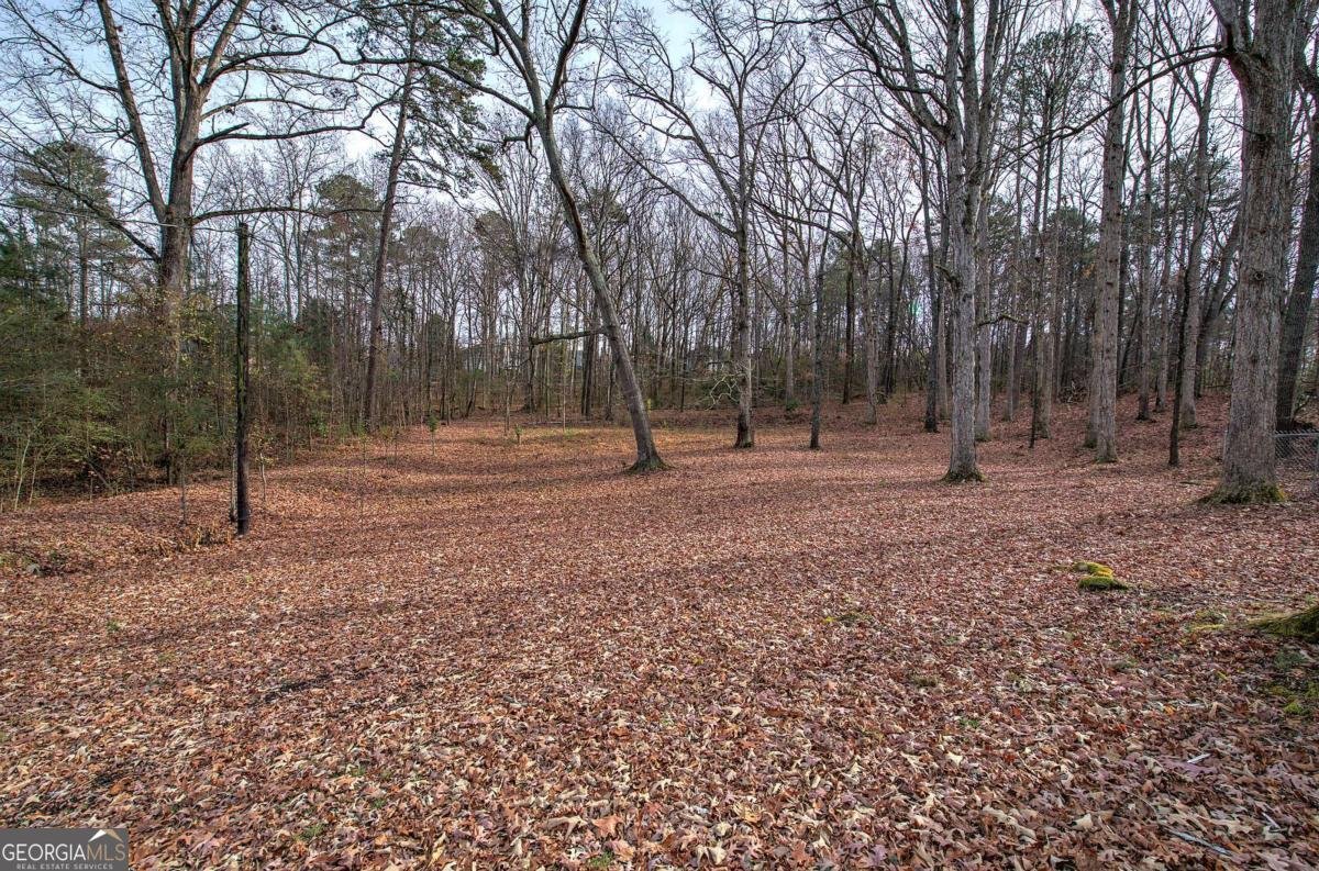 3222 Highway 411 White - 27