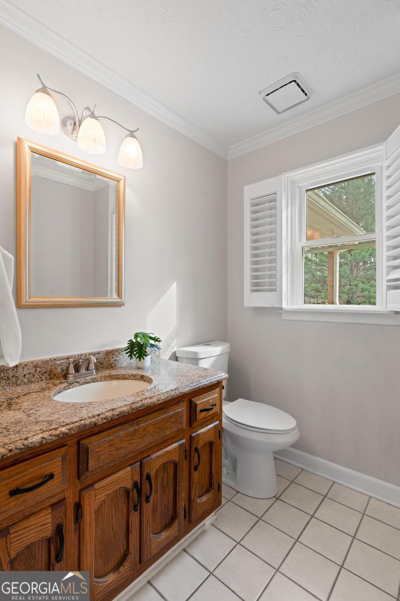 2230 Castle Lake Drive Tyrone - 25