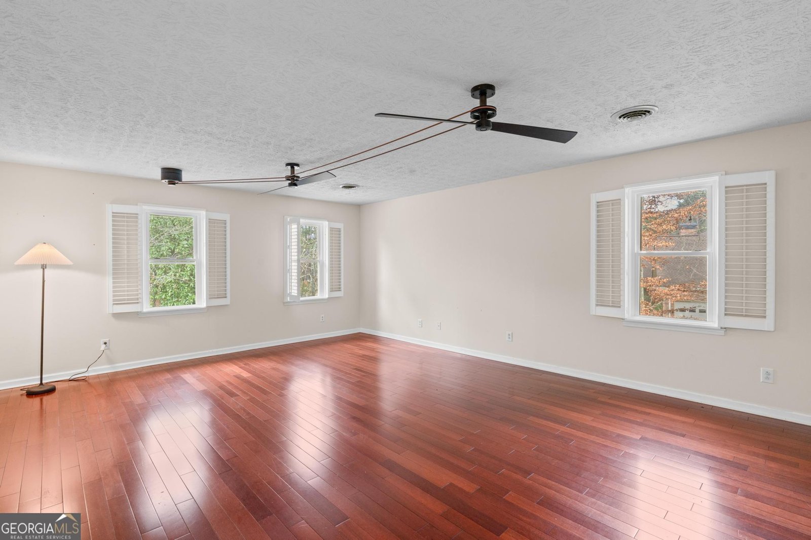 2230 Castle Lake Drive Tyrone - 29