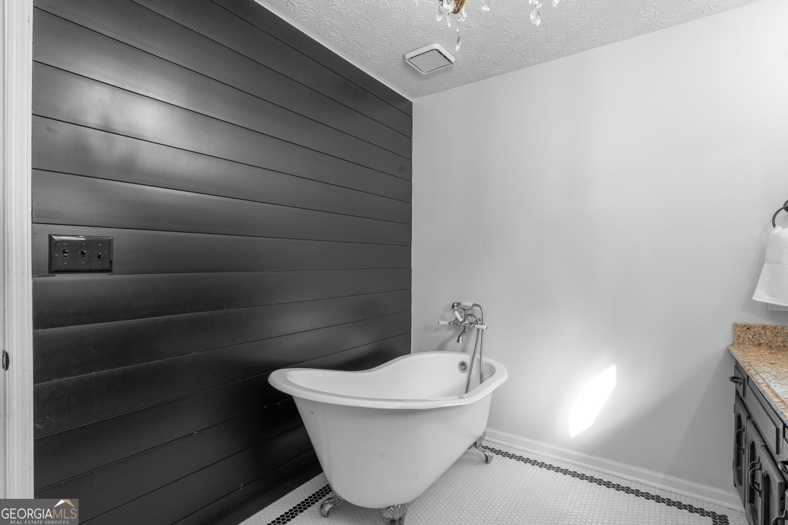 2230 Castle Lake Drive Tyrone - 33