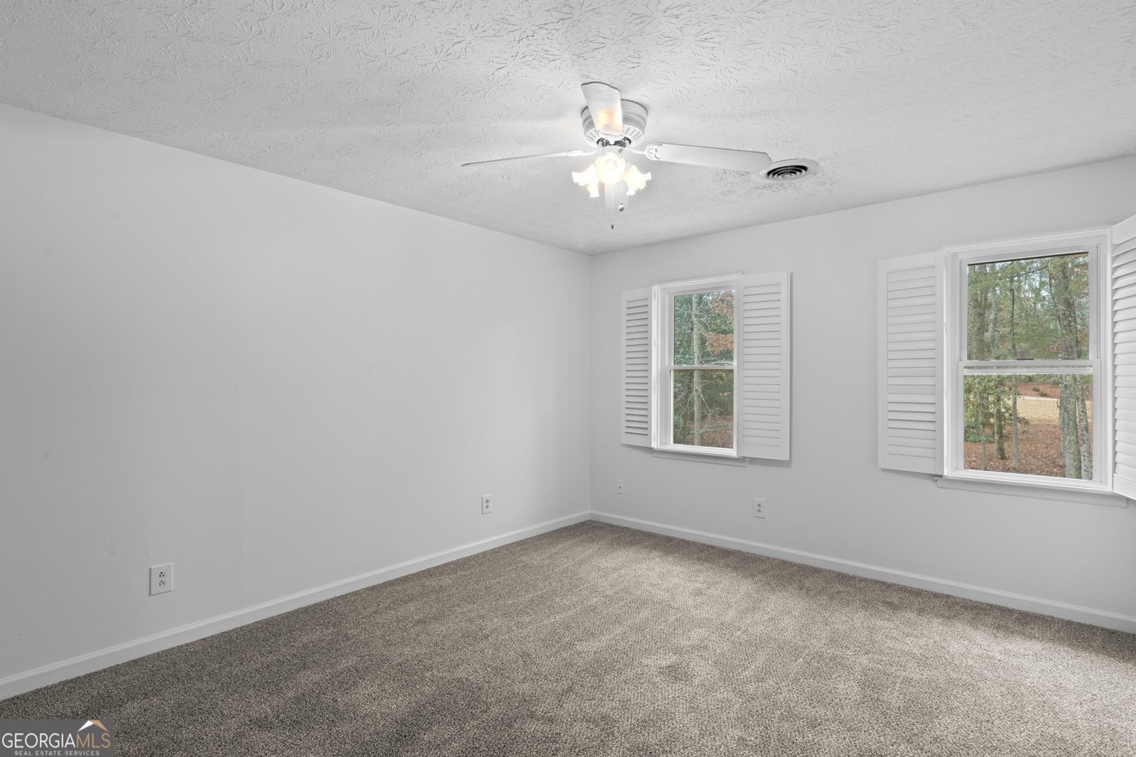 2230 Castle Lake Drive Tyrone - 35