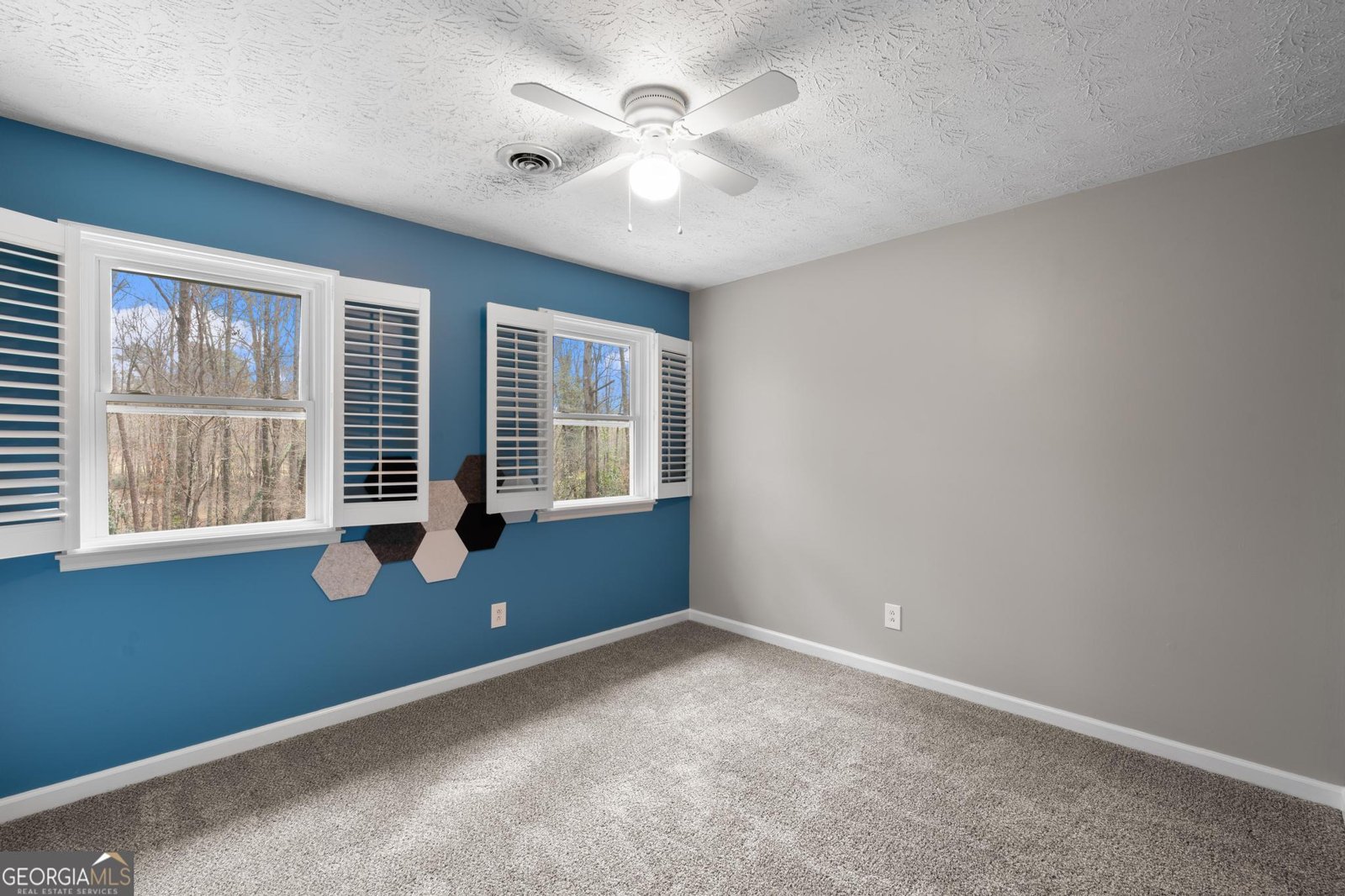 2230 Castle Lake Drive Tyrone - 37