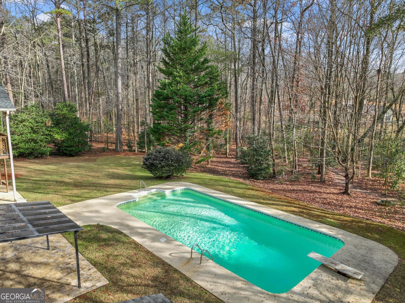 2230 Castle Lake Drive Tyrone - 4