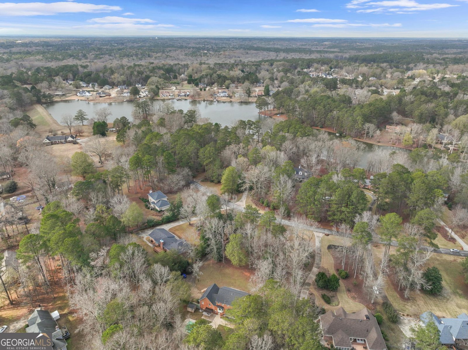 2230 Castle Lake Drive Tyrone - 47