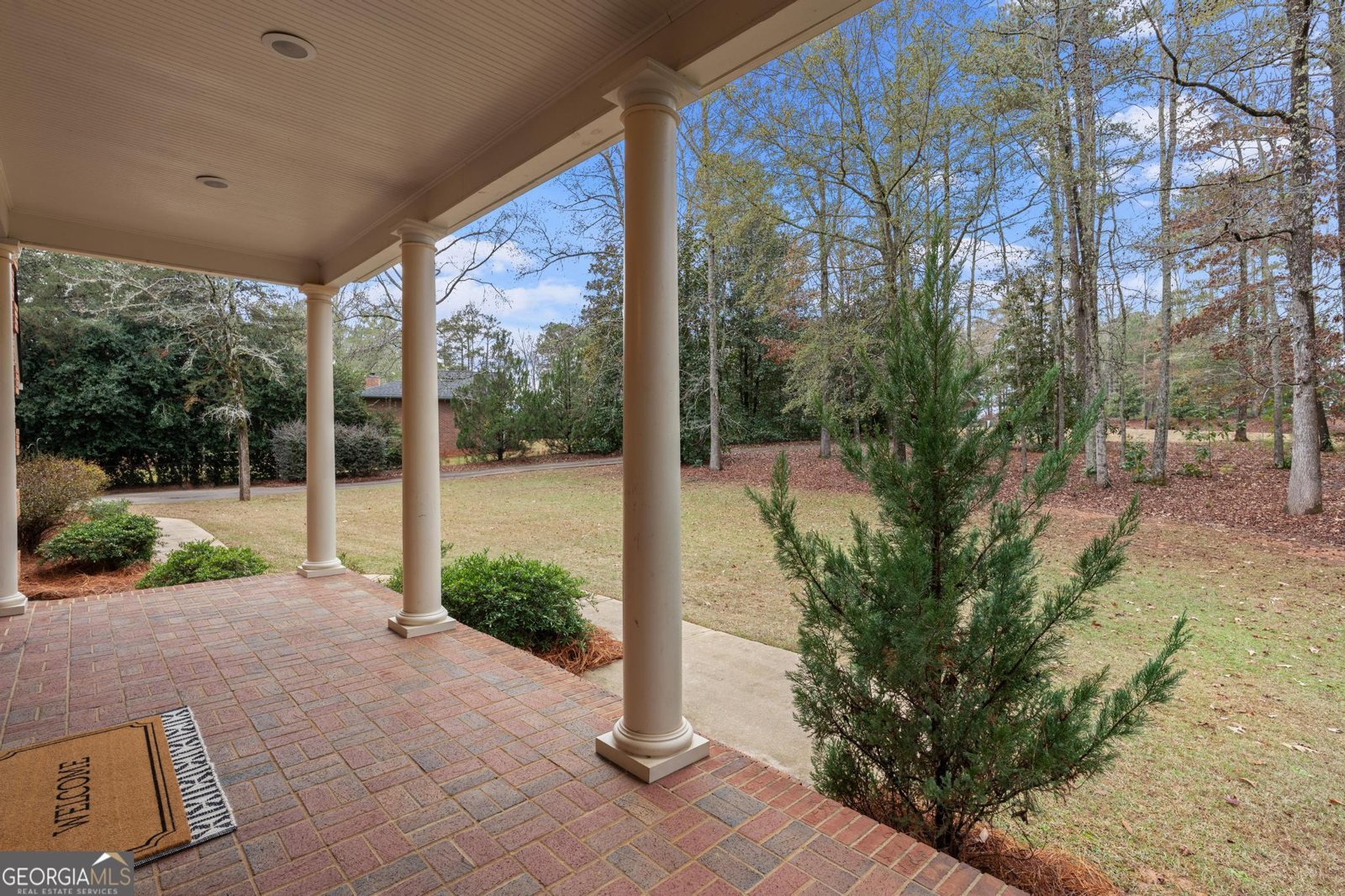 2230 Castle Lake Drive Tyrone - 7