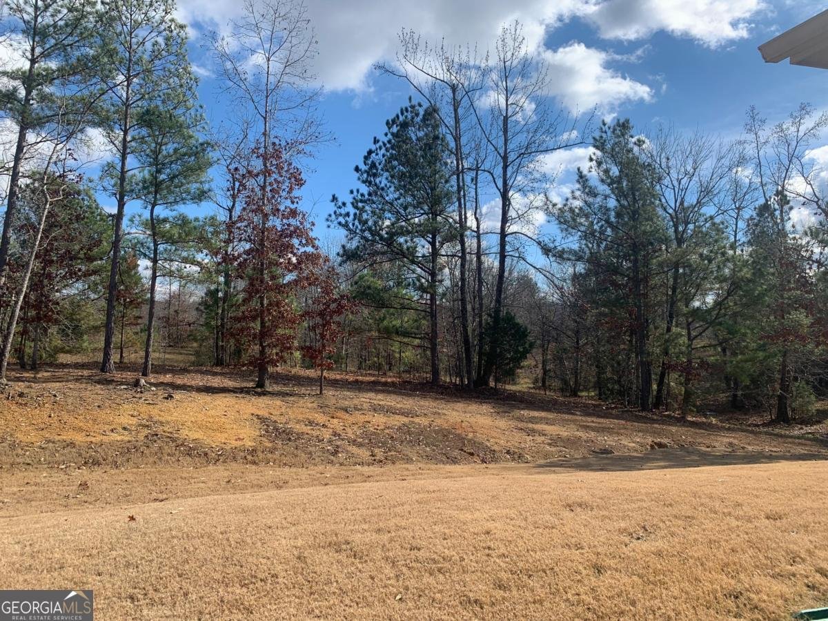 311 Benstone Dr Calhoun - 3