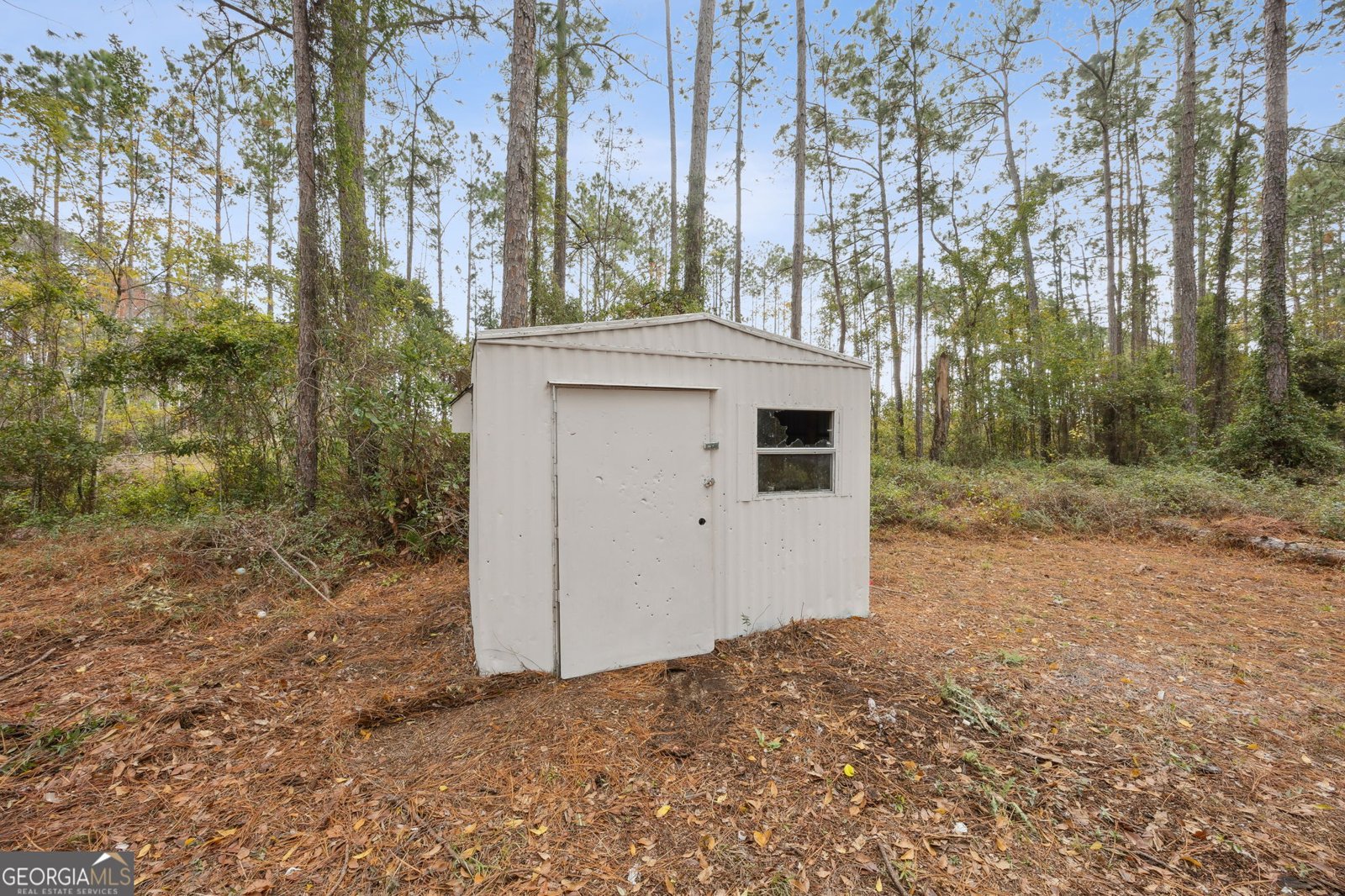 135 Tapique Circle St. Marys - 36