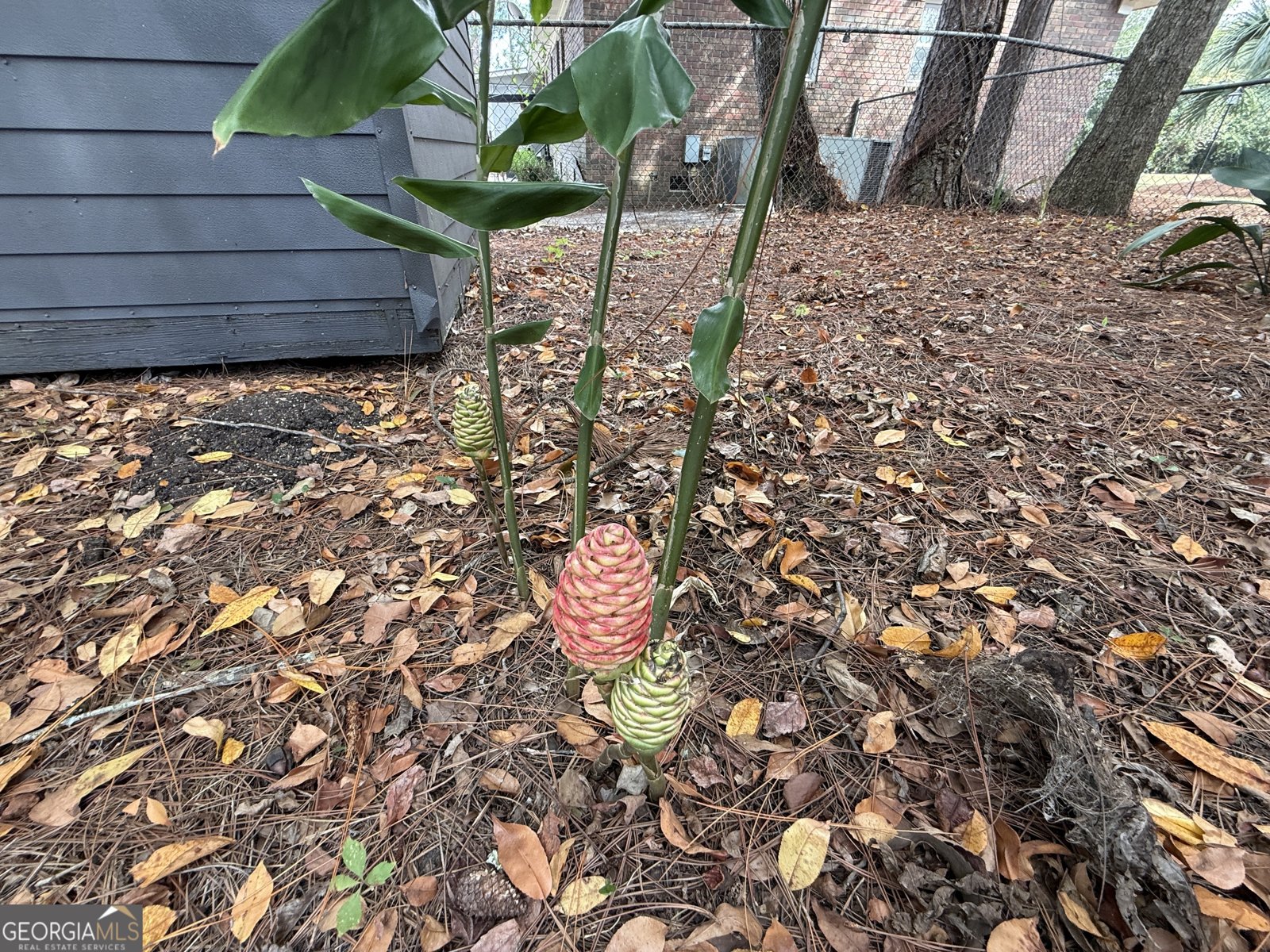 1509 20th Avenue Cordele - 55