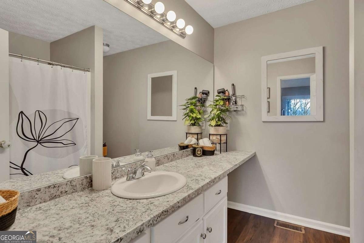 809 Overlook Trail Canton - 20