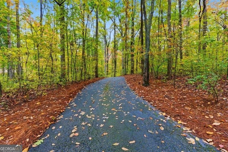 1885 Pitner Road Acworth - 98