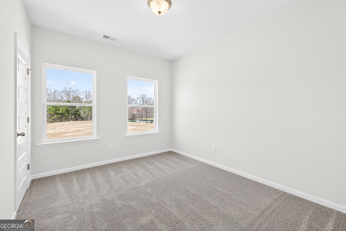 89 Alameda Street Loganville - Photo 21