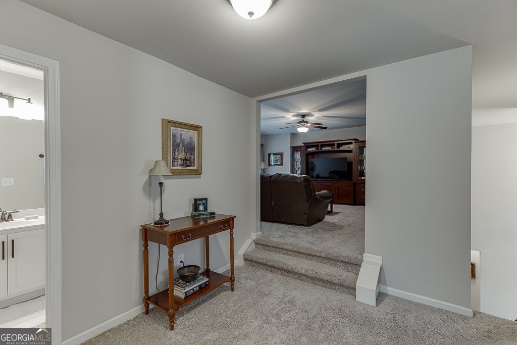 8665 Etowah Bluffs Road Ball Ground - 32