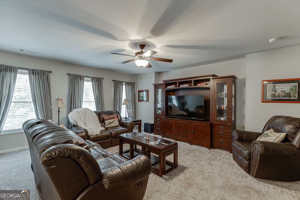 8665 Etowah Bluffs Road Ball Ground - 33