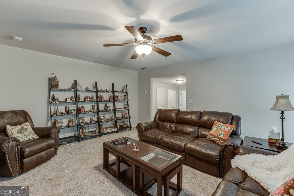 8665 Etowah Bluffs Road Ball Ground - 35