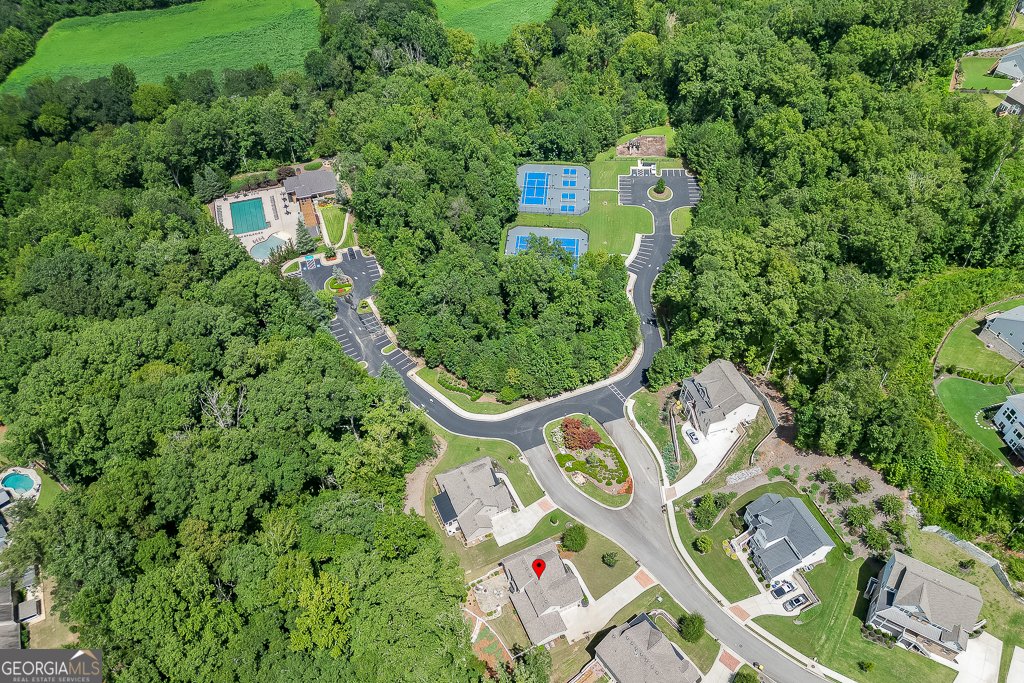 8665 Etowah Bluffs Road Ball Ground - 60