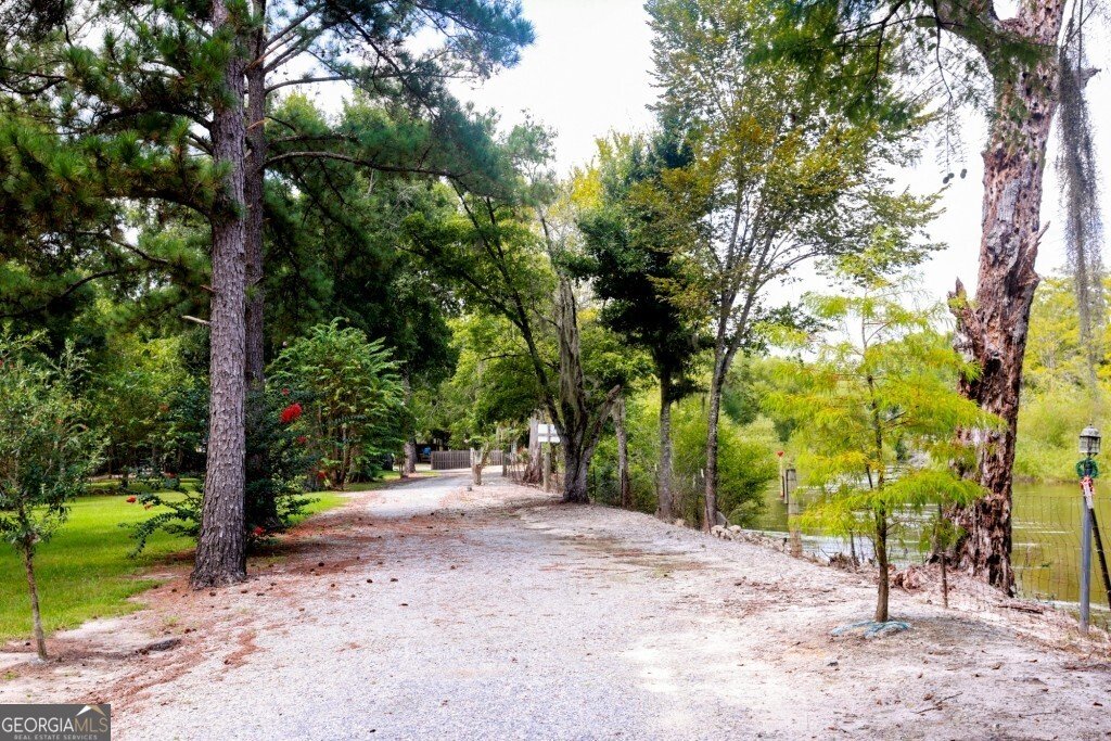 2420 Hickory Bluff Road Brooklet - 10