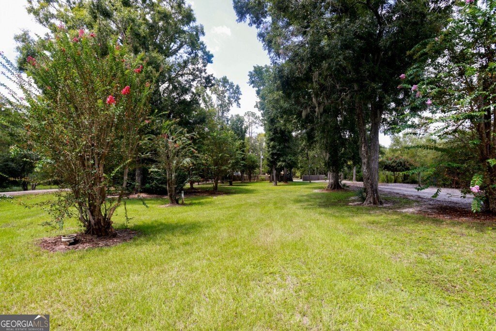 2420 Hickory Bluff Road Brooklet - 11