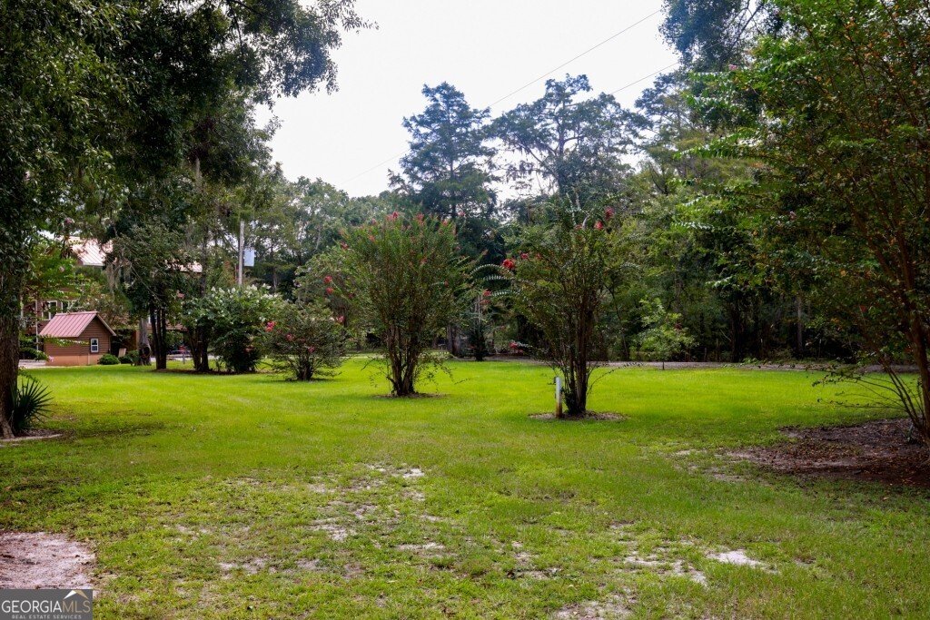 2420 Hickory Bluff Road Brooklet - 13