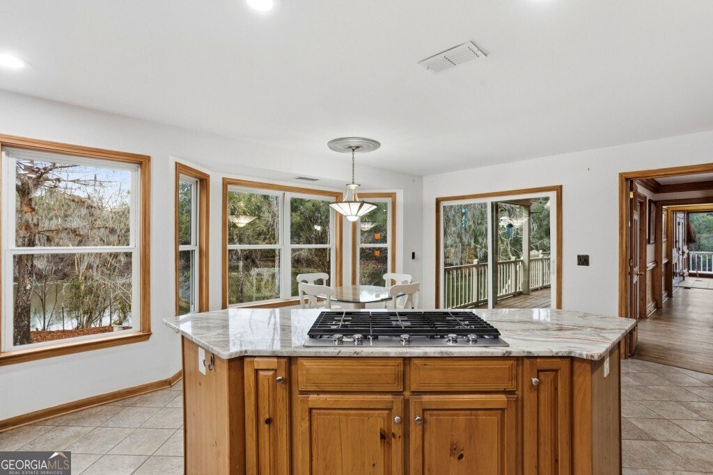 2420 Hickory Bluff Road Brooklet - 29