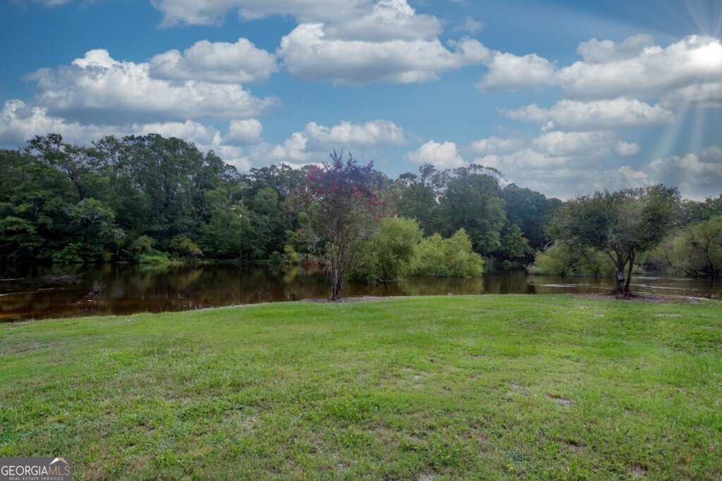 2420 Hickory Bluff Road Brooklet - 44