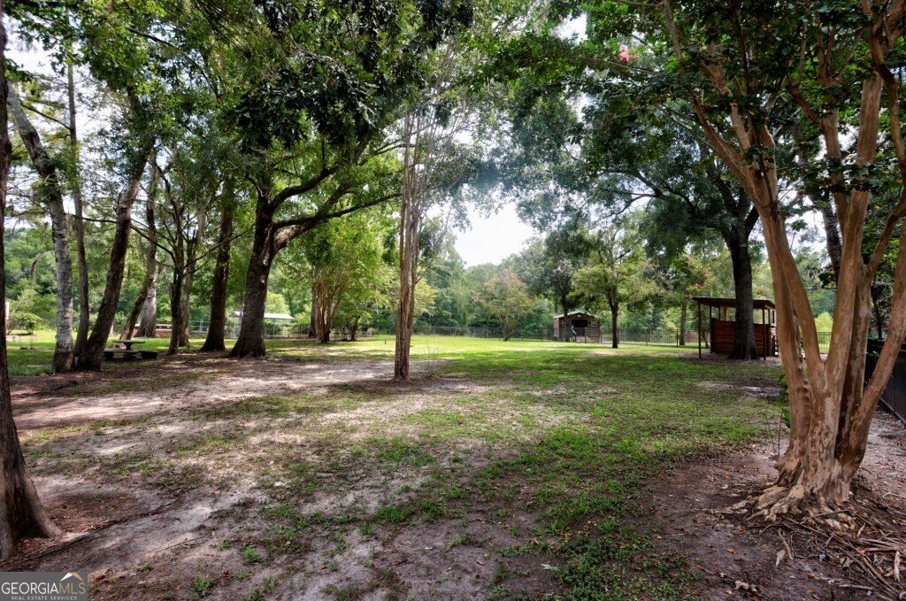 2420 Hickory Bluff Road Brooklet - 48