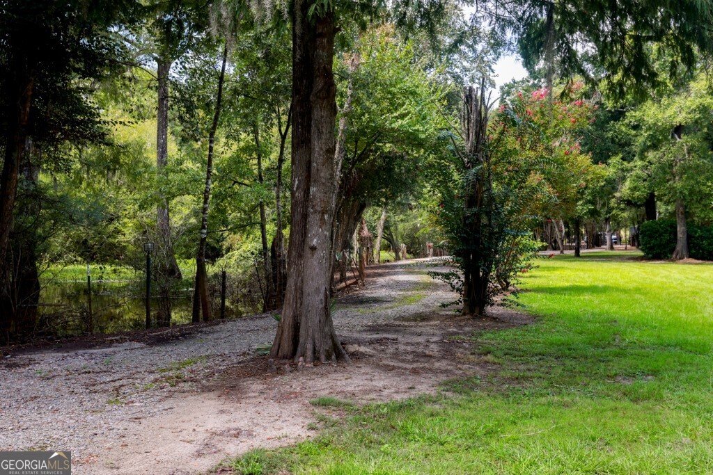 2420 Hickory Bluff Road Brooklet - 59