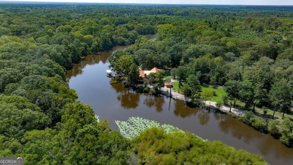 2420 Hickory Bluff Road Brooklet - 6