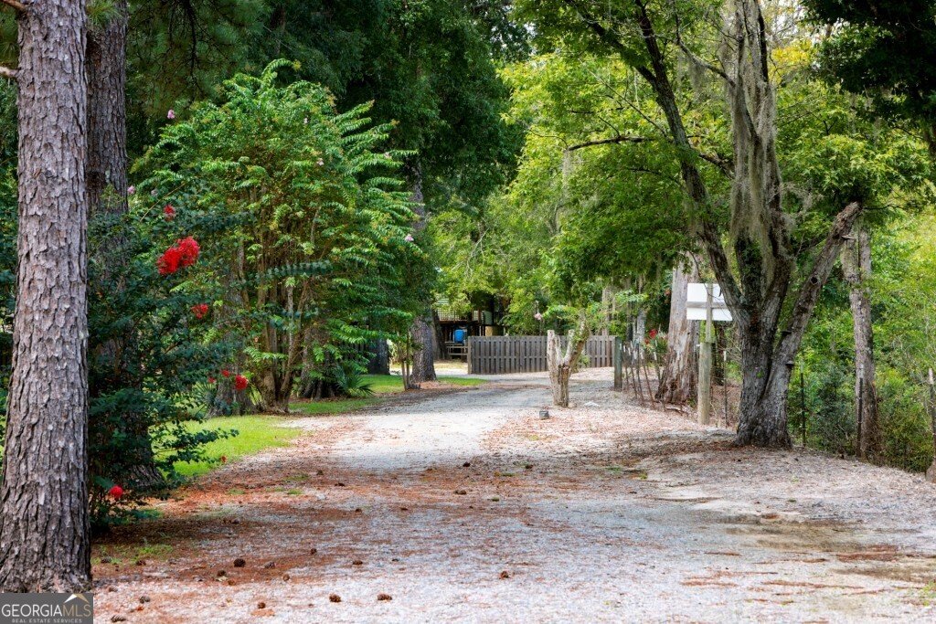 2420 Hickory Bluff Road Brooklet - 61