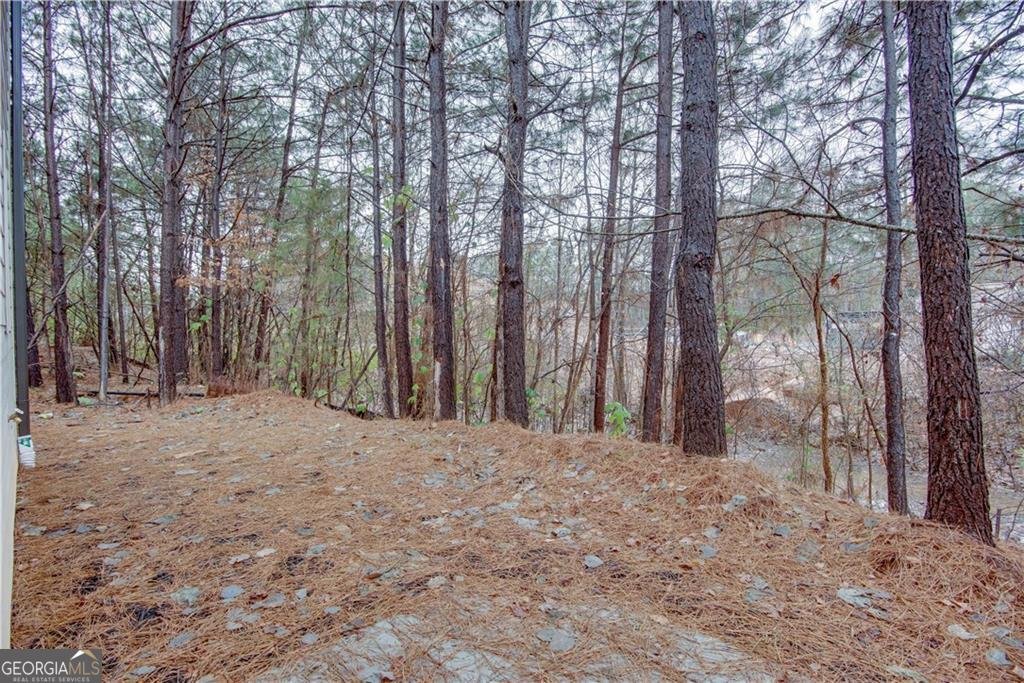 3342 Landings South Drive Atlanta - 33