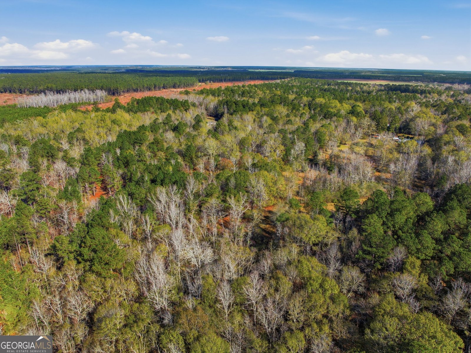 265 Jordan Meadow Lane Sandersville - 41