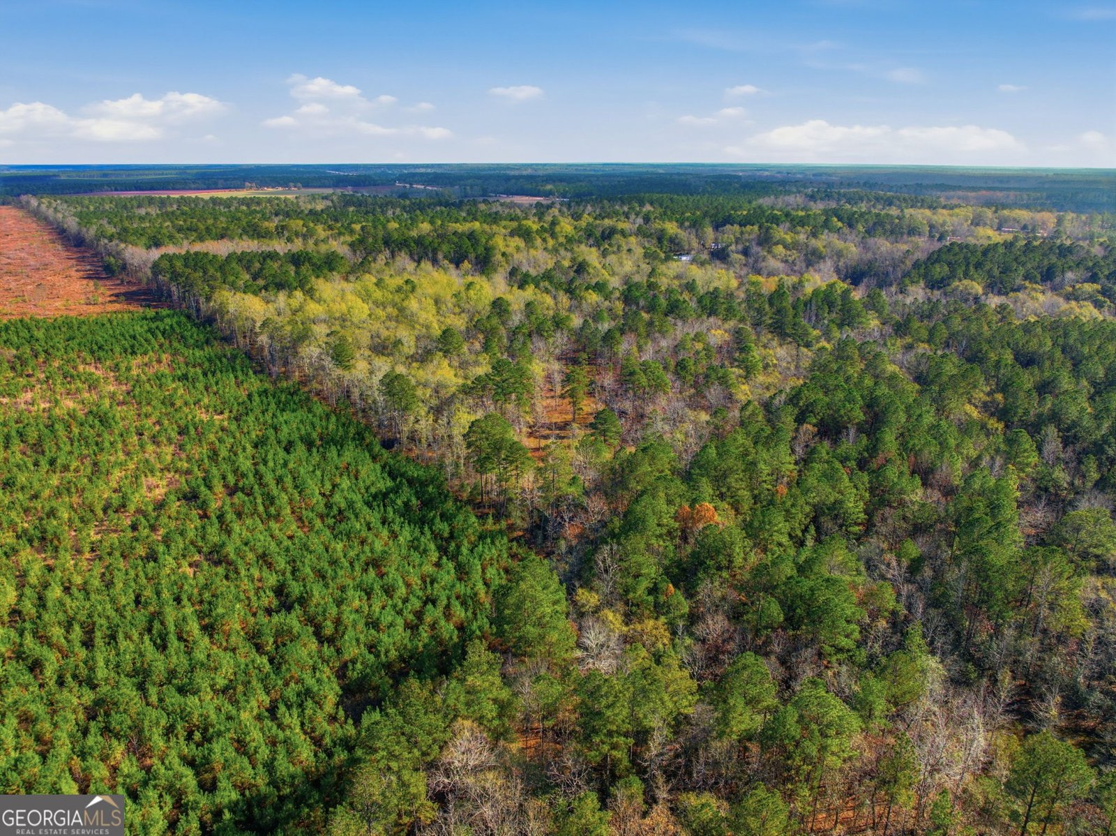 265 Jordan Meadow Lane Sandersville - 42