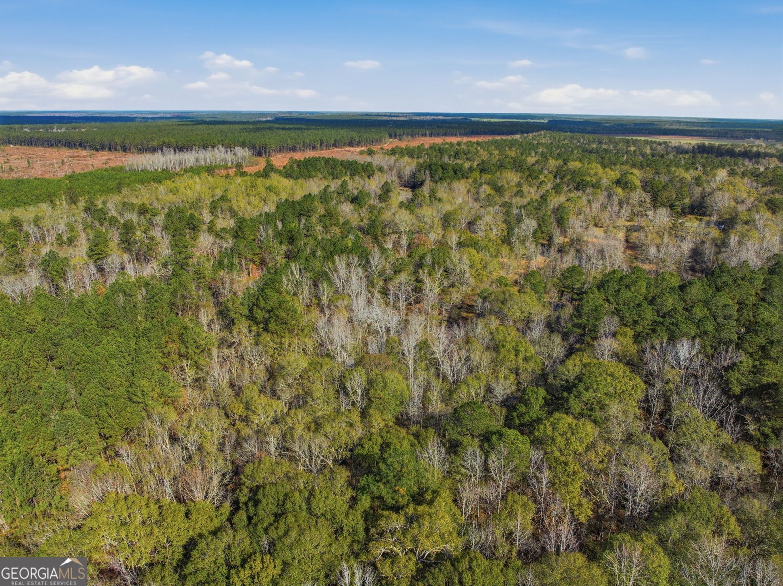 265 Jordan Meadow Lane Sandersville - 49