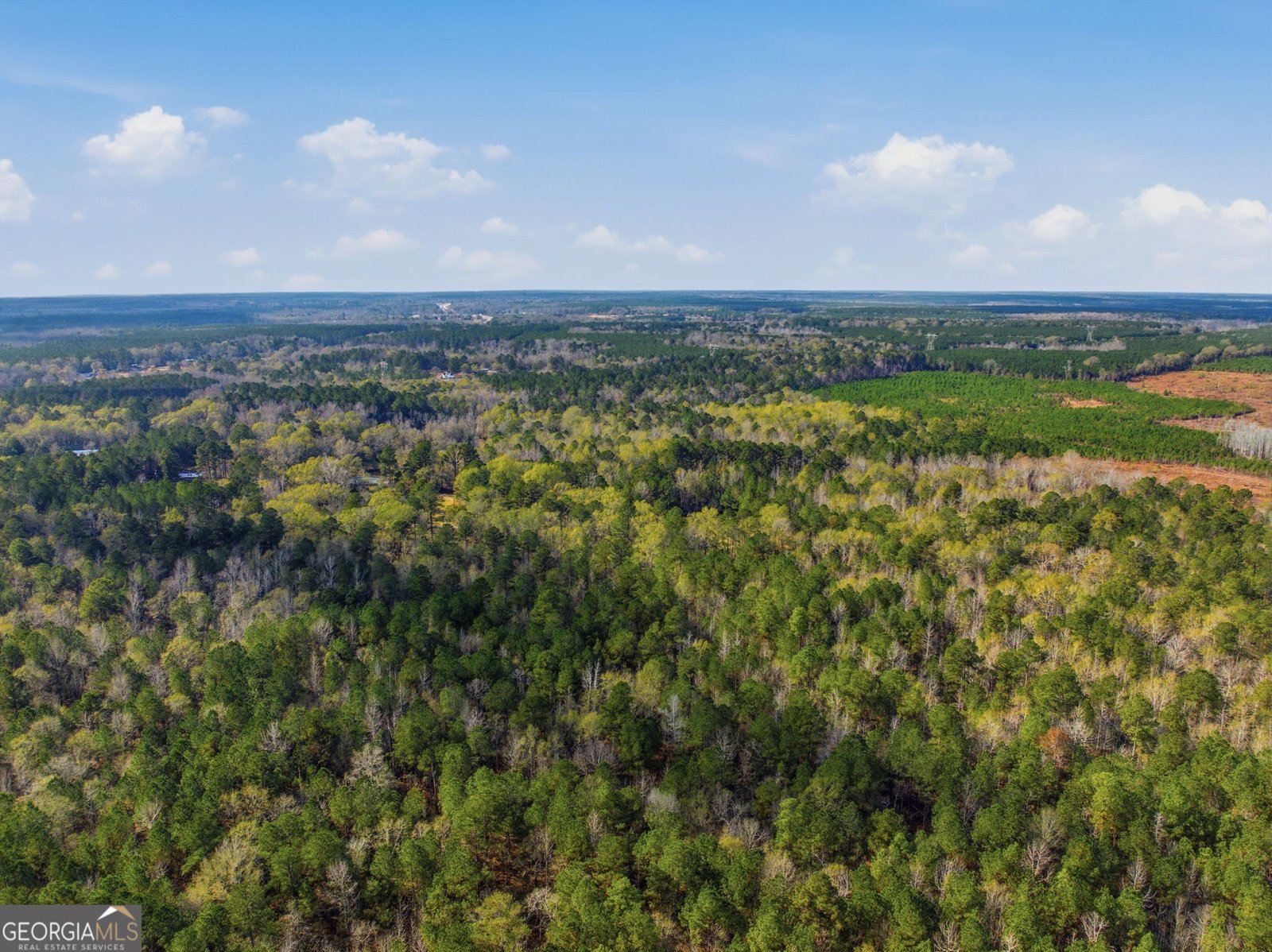 265 Jordan Meadow Lane Sandersville - 53